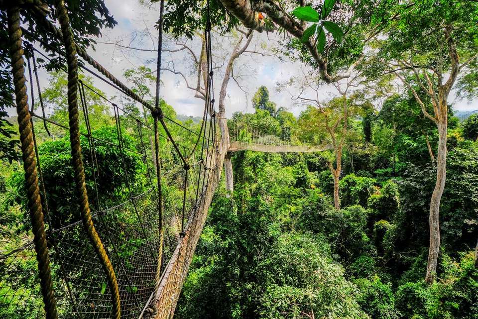 Benin, Togo & Ghana Adventure - Intrepid Travel - Benin - Image 16