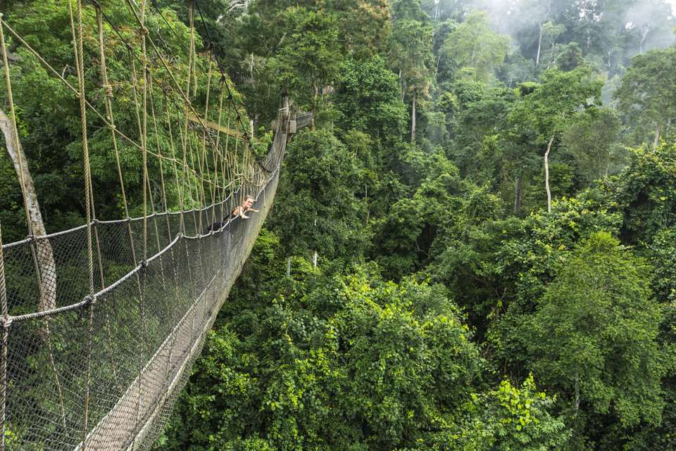 Benin, Togo & Ghana Adventure - Intrepid Travel - Benin - Image 12
