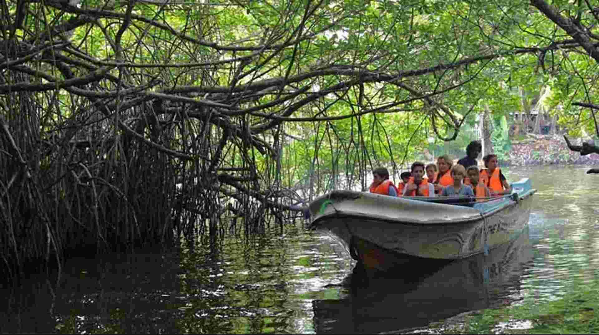 Madu River Boat Ride inc. Turtle Hatchery visit