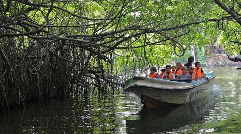 Madu River Boat Ride inc. Turtle Hatchery visit trip - alternative tour available