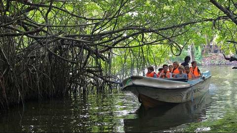 Madu River Boat Ride Inc. Turtle Hatchery Visit - January 2027