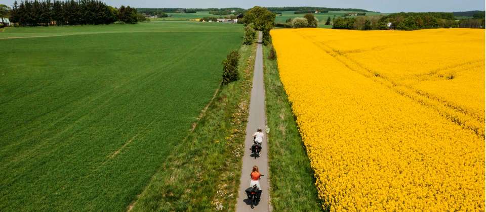 Berlin to Copenhagen by Bike - Utracks - Germany - Image 5