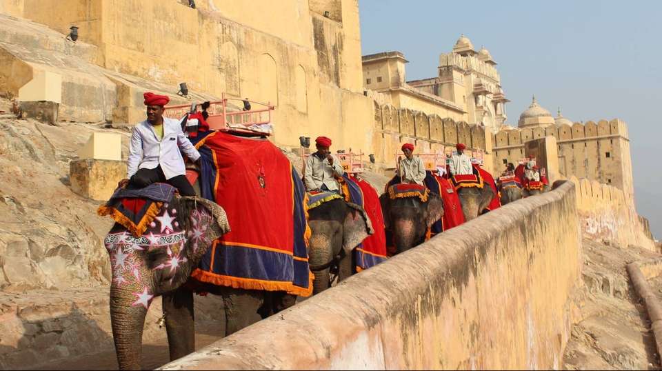 Bespoke Golden Triangle & Classic Rajasthan - Amazing India Tours - India - Image 6