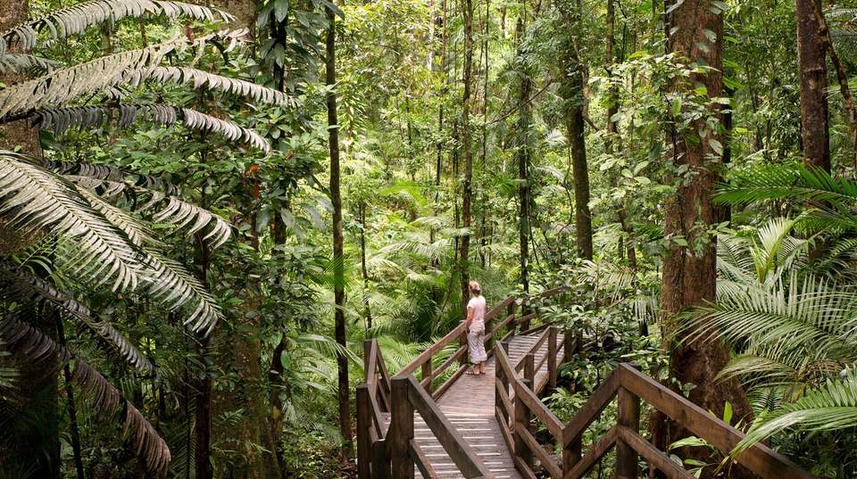 Best Beaches, Rainforest & Islands–13 Day Flashpacker - undefined - Image 3