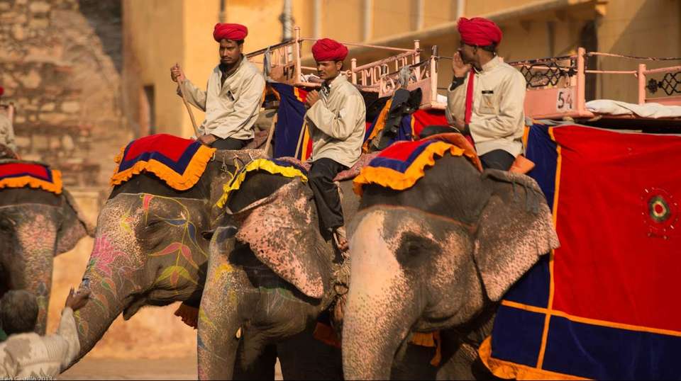 Best India Tour - Amazing India Tours - India - Image 2