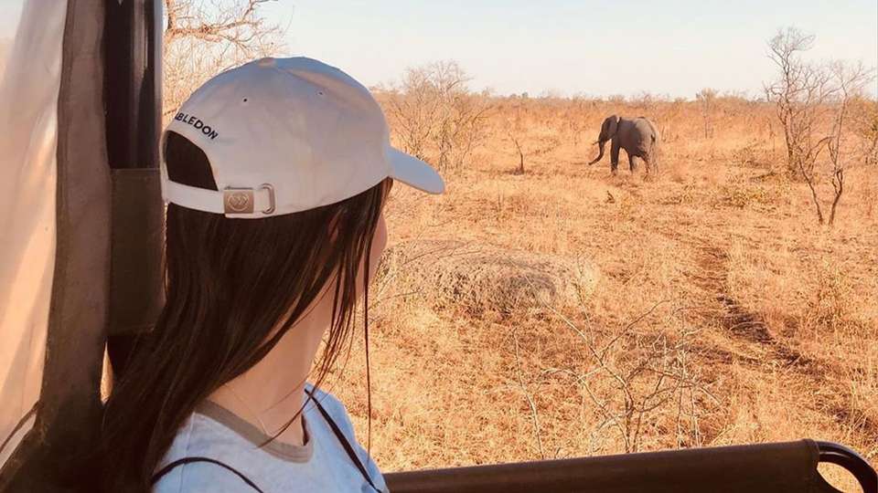 Best of Africa's Wildlife: Cape Town, Kruger, Hwange, & Chobe - G Adventures - South Africa