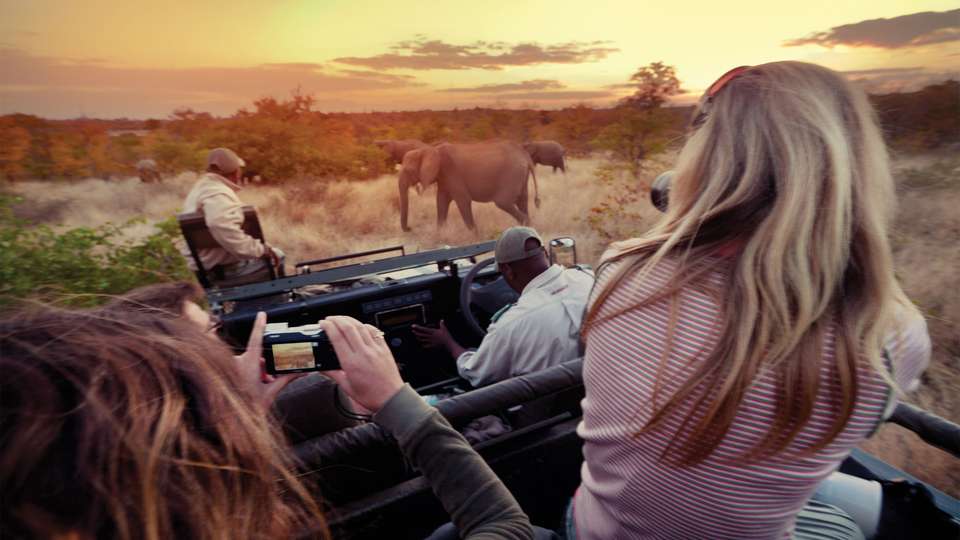 Best of Africa's Wildlife: Cape Town, Kruger, Hwange, & Chobe - G Adventures - South Africa