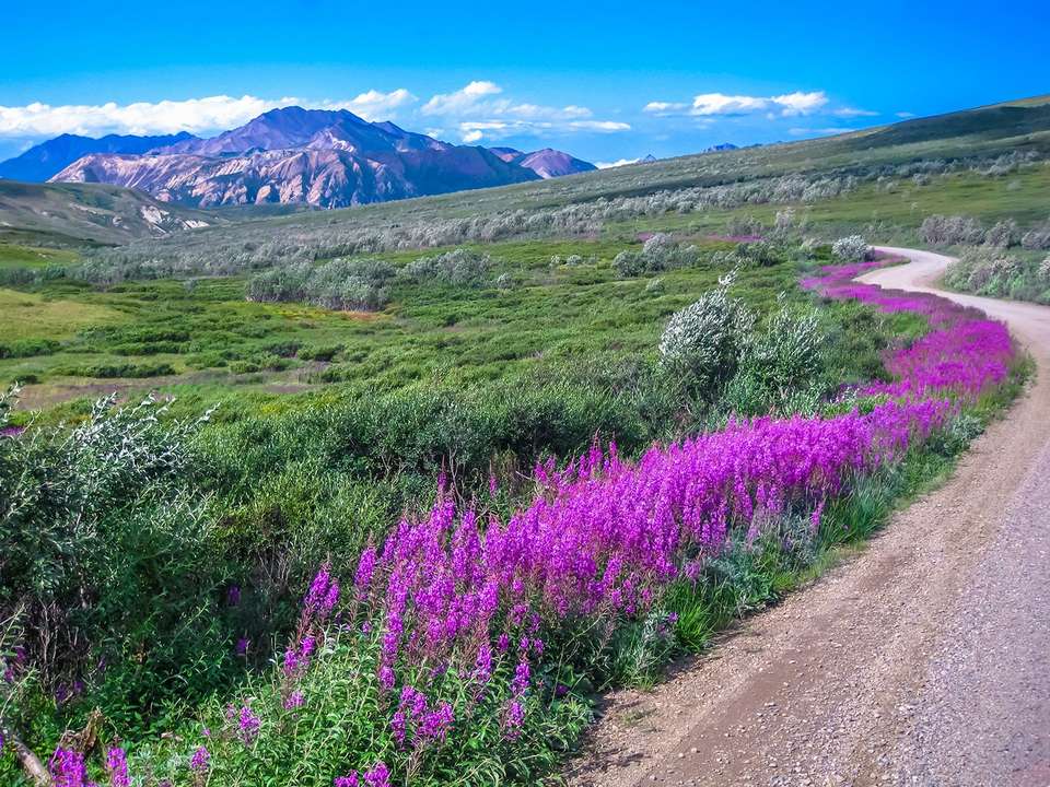 Best of Alaska - 10 days - On The Go Tours - USA - Image 10