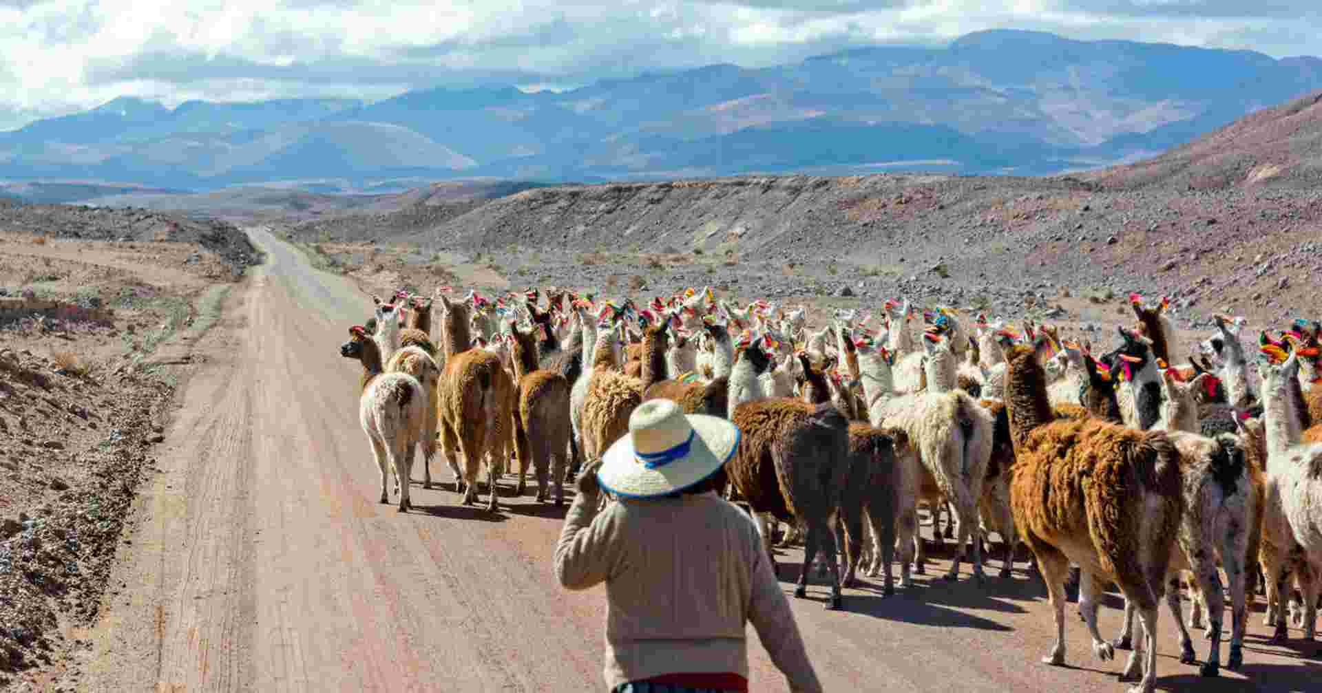 Best of Argentina, Bolivia and Chile
