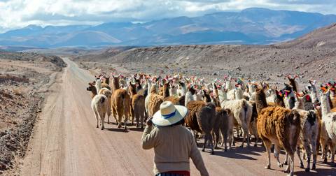 Best Of Argentina, Bolivia And Chile