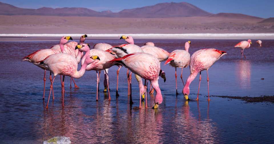 Best of Argentina, Bolivia and Chile - Explore - Argentina - Image 18
