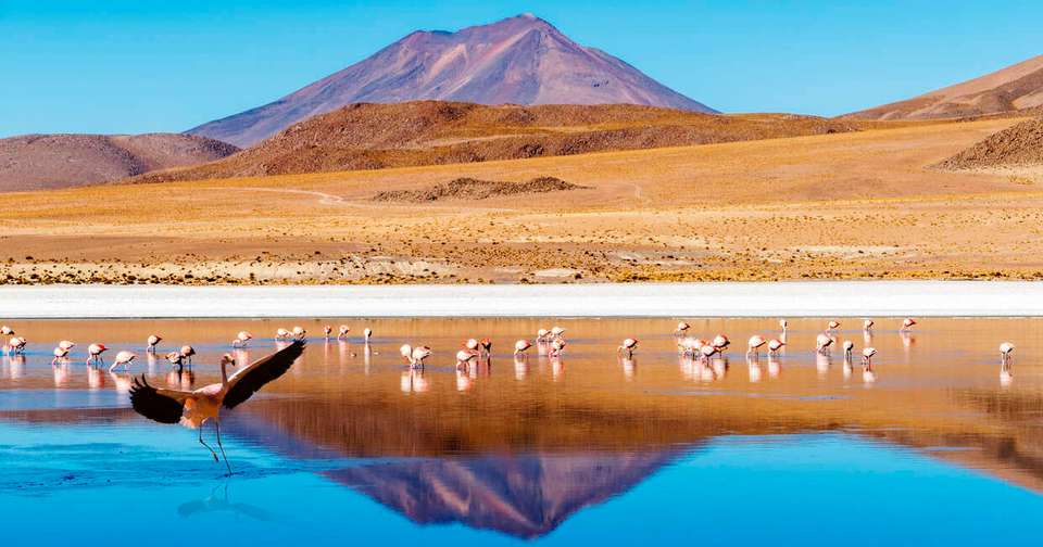 Best of Argentina, Bolivia and Chile - Explore - Argentina - Image 11