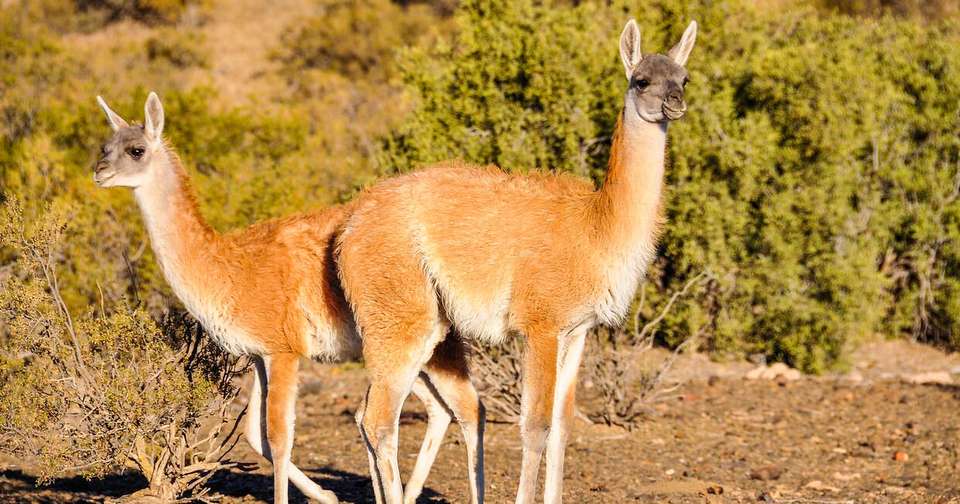 Best of Argentina, Bolivia and Chile - Explore - Argentina - Image 9