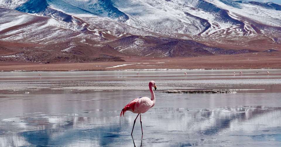 Best of Argentina, Bolivia and Chile - Explore - Argentina - Image 6