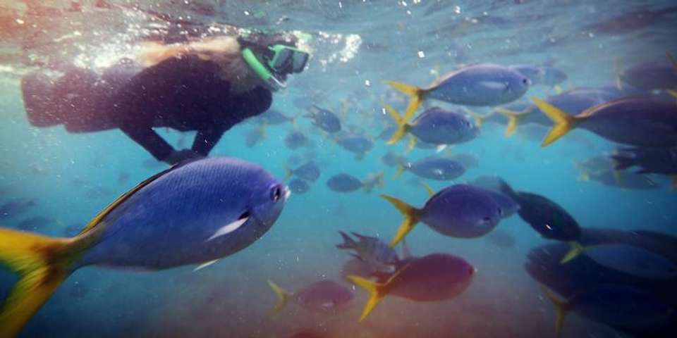Best of Australia - G Adventures - Australia - Image 13