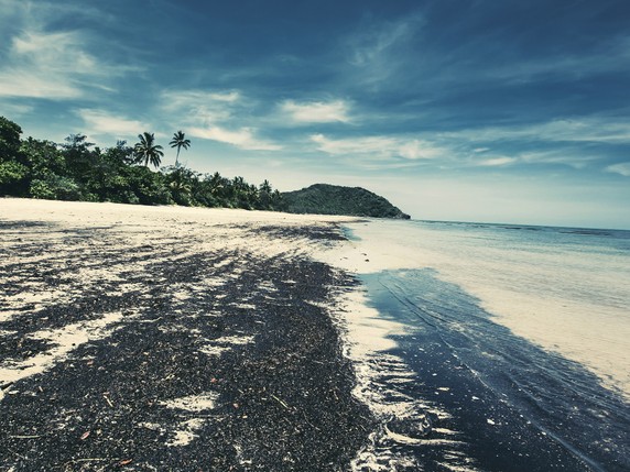 Image 4 of 18