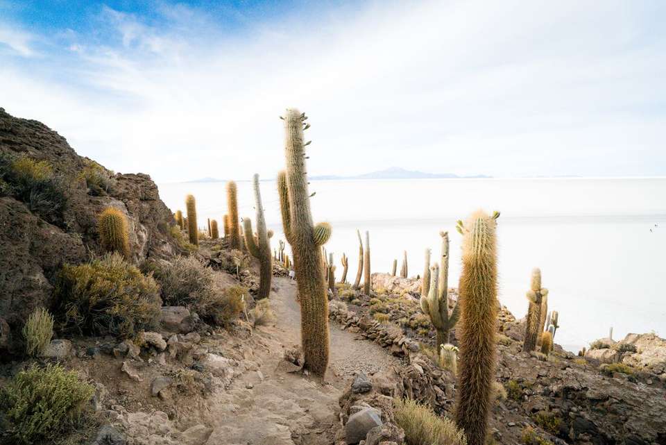 Best of Bolivia & Argentina - Intrepid Travel - Bolivia - Image 4