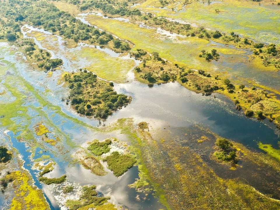 Best of Botswana & Victoria Falls - 12 days - On The Go Tours - Zimbabwe - Image 4