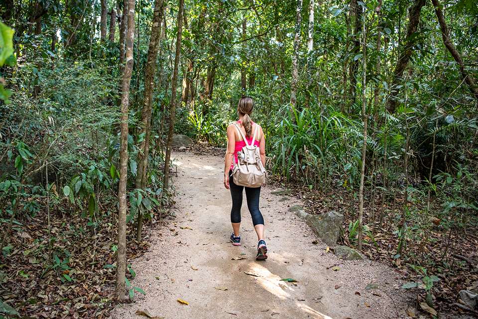 Best of Cairns, Great Barrier Reef & Daintree - Intrepid Travel - Australia - Image 4