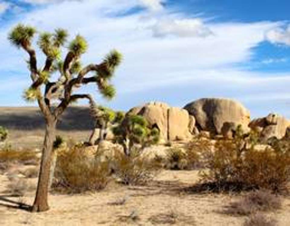 Best of California National Parks - 6 days - On The Go Tours - USA - Image 7