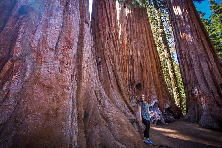 Best of California's National Parks - May 2027