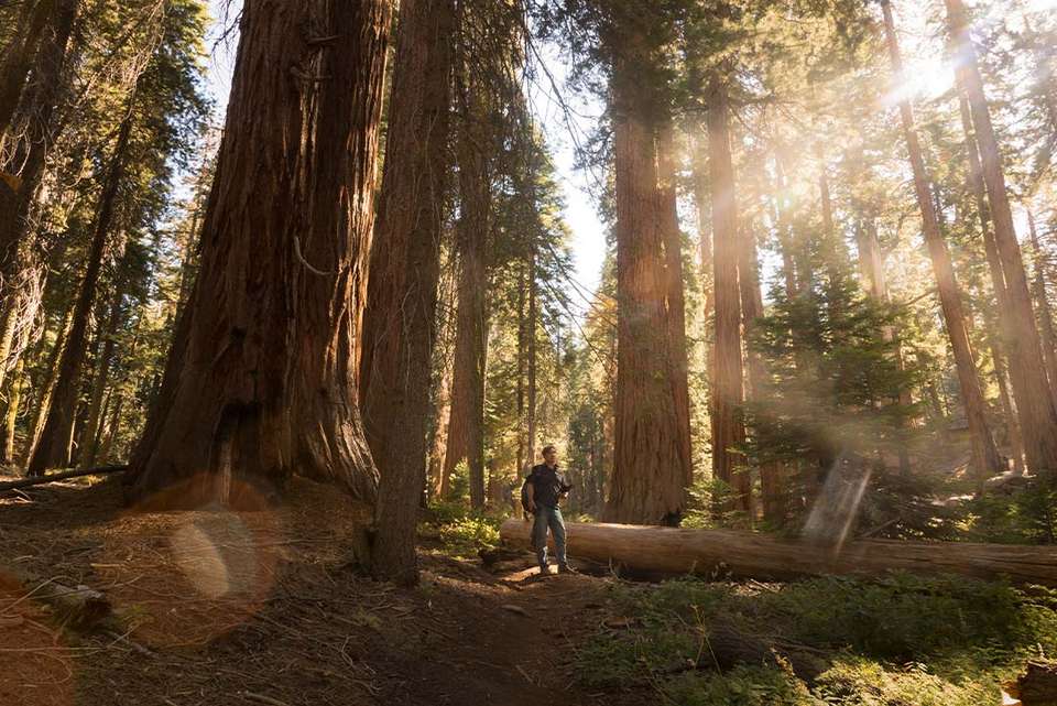 Best of California's National Parks - Intrepid Travel - USA - Image 6