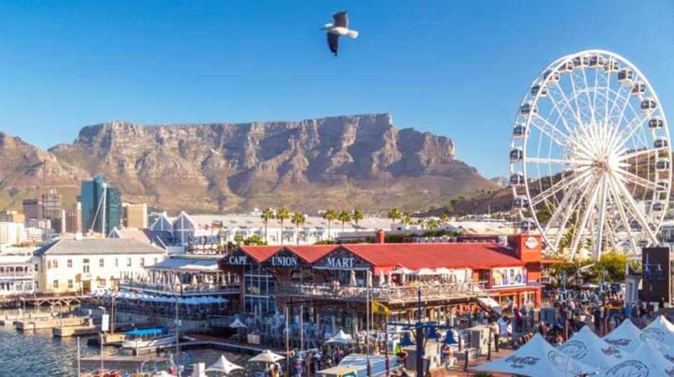 Best of Cape Town: Table Mountain, Wine and Gardens - Cape Town Day Tours - South Africa - Image 2