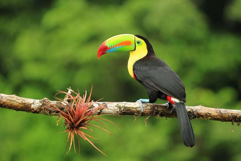 Panajachel Cultural, religious and historic sites Tour: Best of Central America