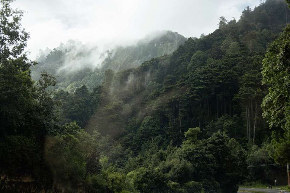 Best of Central America - Intrepid Travel - Mexico - Image 20