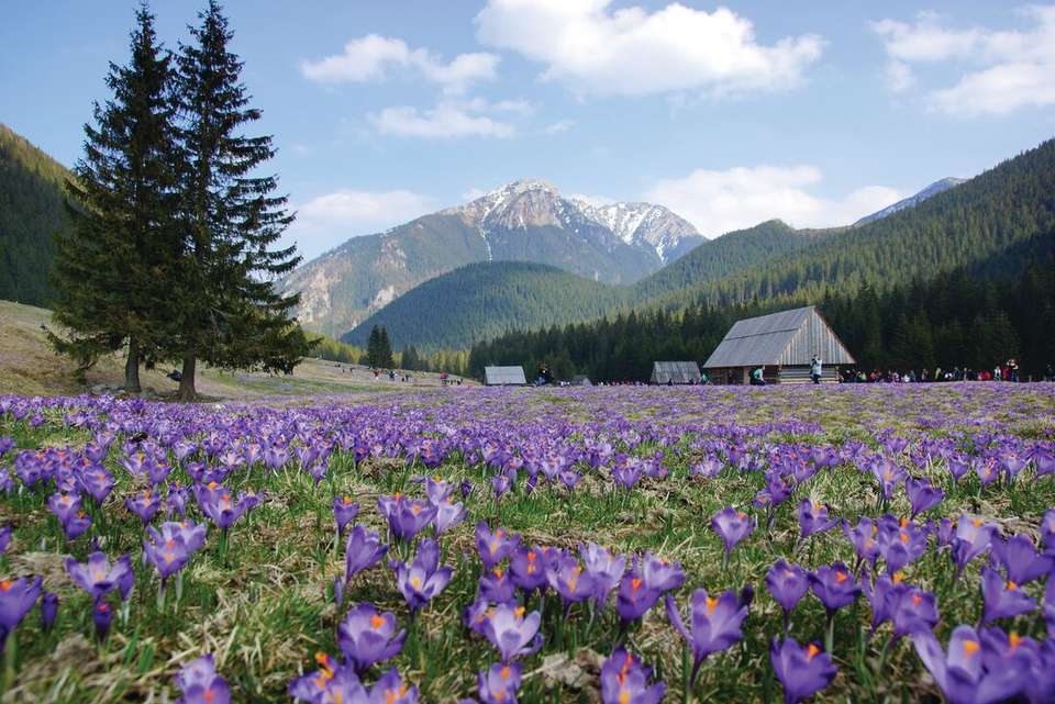 Best of Central Europe - Intrepid Travel - Austria - Image 8