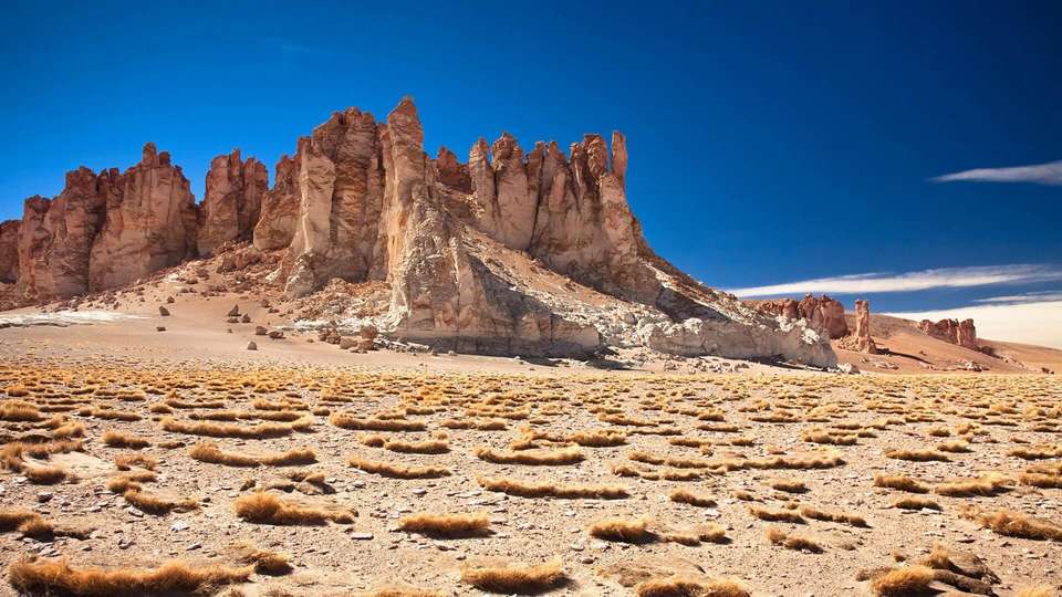 Best Of Chile - Indus Travels - Chile - Image 8