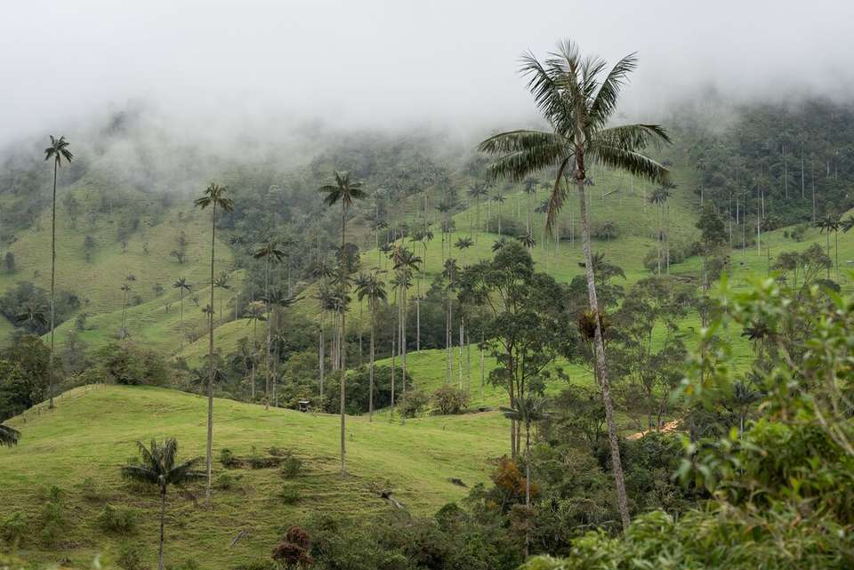 Best of Colombia - Intrepid Travel - Colombia - Image 14