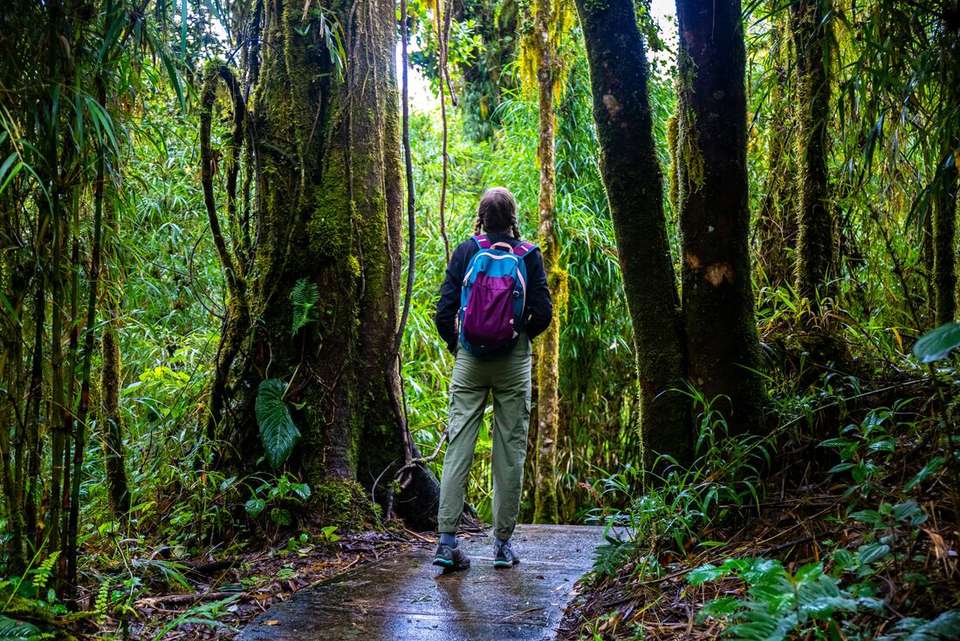 Best of Costa Rica - Intrepid Travel - Costa Rica - Image 20