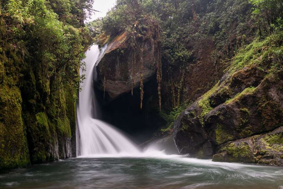 Best of Costa Rica - Intrepid Travel - Costa Rica - Image 13