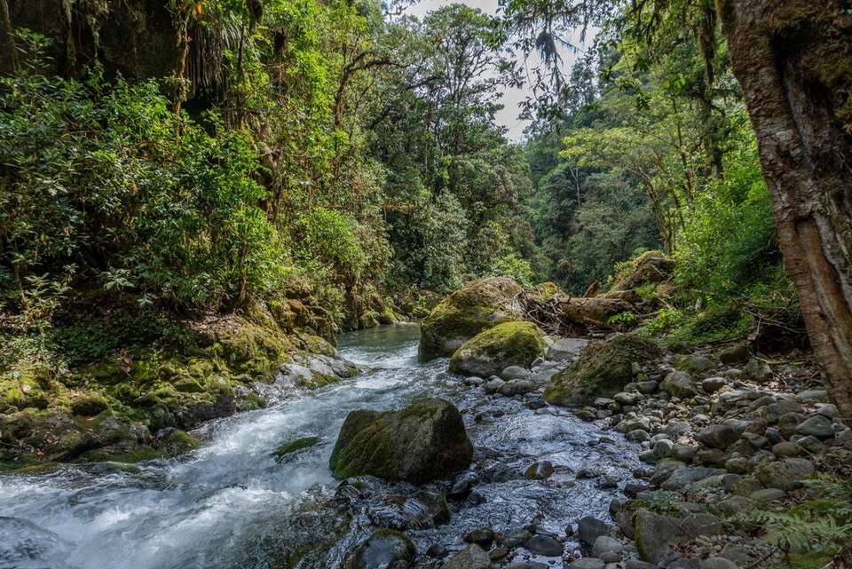 Best of Costa Rica - Intrepid Travel - Costa Rica - Image 7