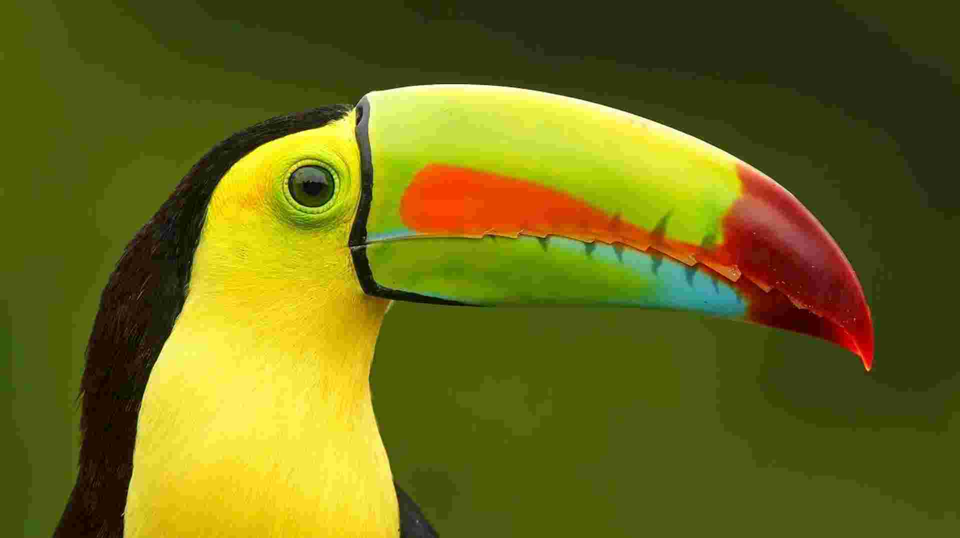 Best of Costa Rica