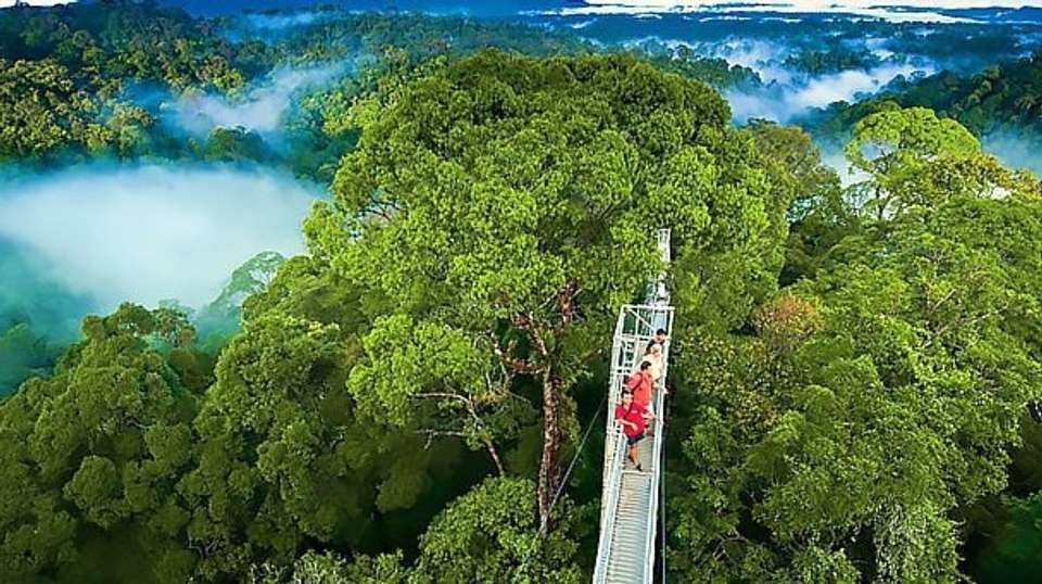 Best of Costa Rica - Destiny Travel Costa Rica - Costa Rica - Image 6
