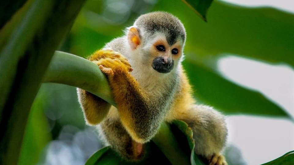 Best of Costa Rica - Destiny Travel Costa Rica - Costa Rica - Image 10