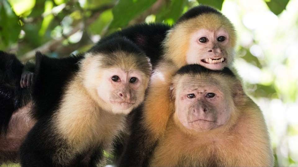 Best of Costa Rica - Destiny Travel Costa Rica - Costa Rica - Image 11