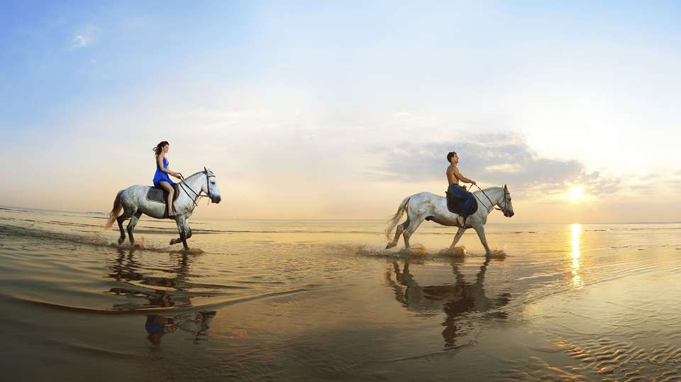 Best of Costa Rica - Greenway Nature Tours - Costa Rica - Image 2