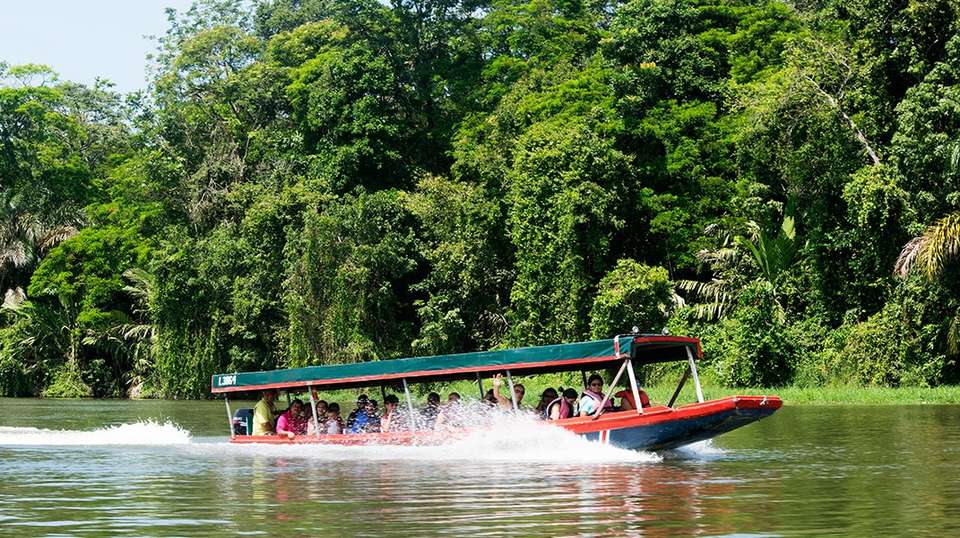 Best of Costa Rica - Greenway Nature Tours - Costa Rica - Image 10
