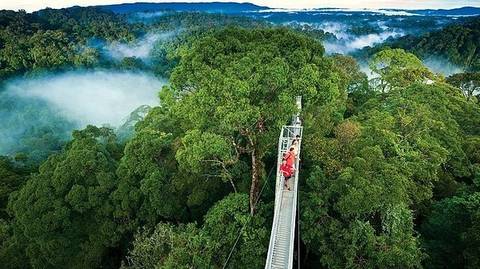 San Jose Rainforest And Jungle Visits Tour: Best Of Costa Rica