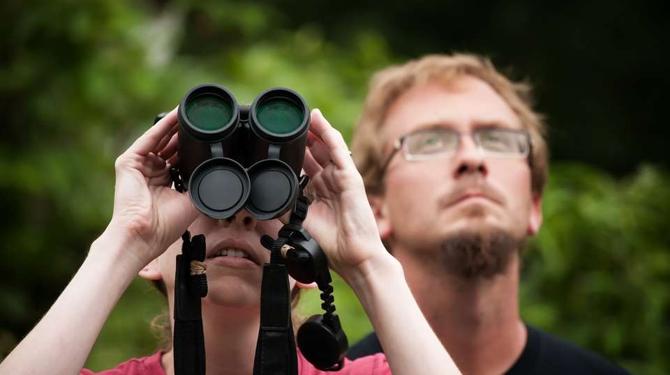 Best of Costa Rica - Greenway Nature Tours - Costa Rica - Image 9