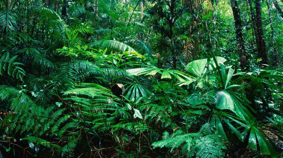 Best of Costa Rica - Greenway Nature Tours - Costa Rica - Image 7