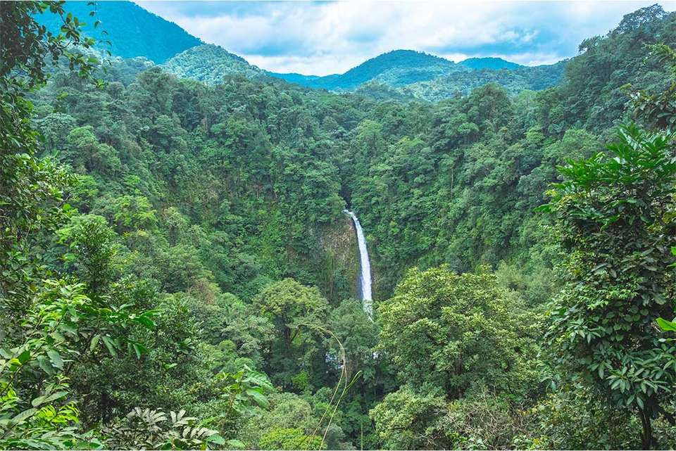 Best of Costa Rica Family Holiday - Intrepid Travel - Costa Rica - Image 16