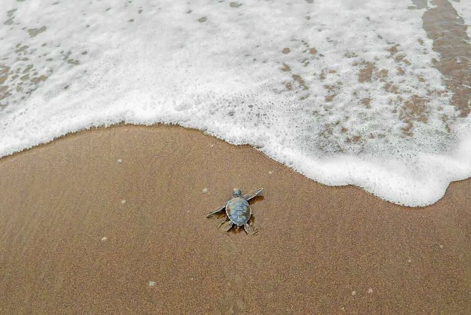 Best of Costa Rica Family Holiday - Intrepid Travel - Costa Rica - Image 14