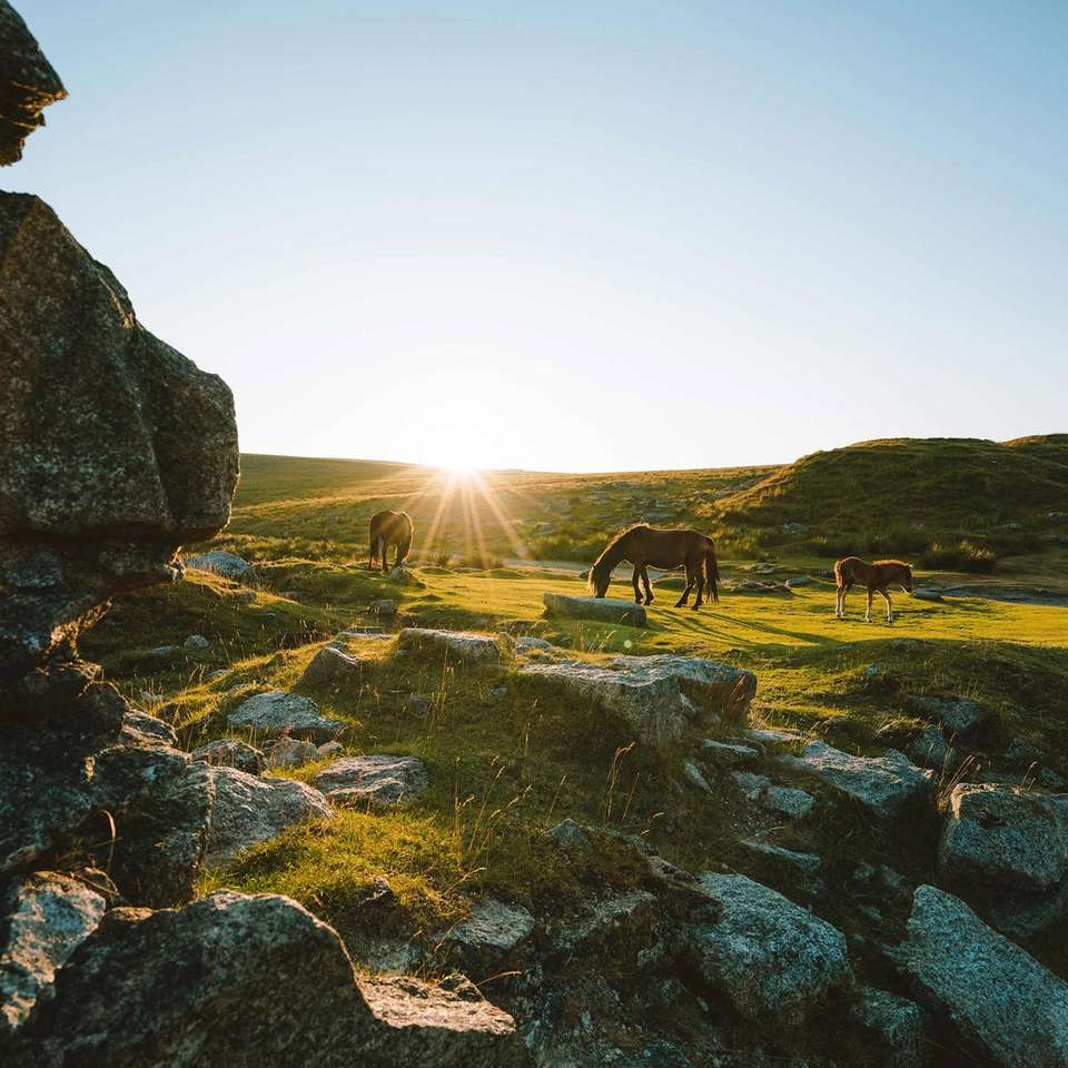 Best of Devon and Cornwall - Trafalgar - England - Image 5