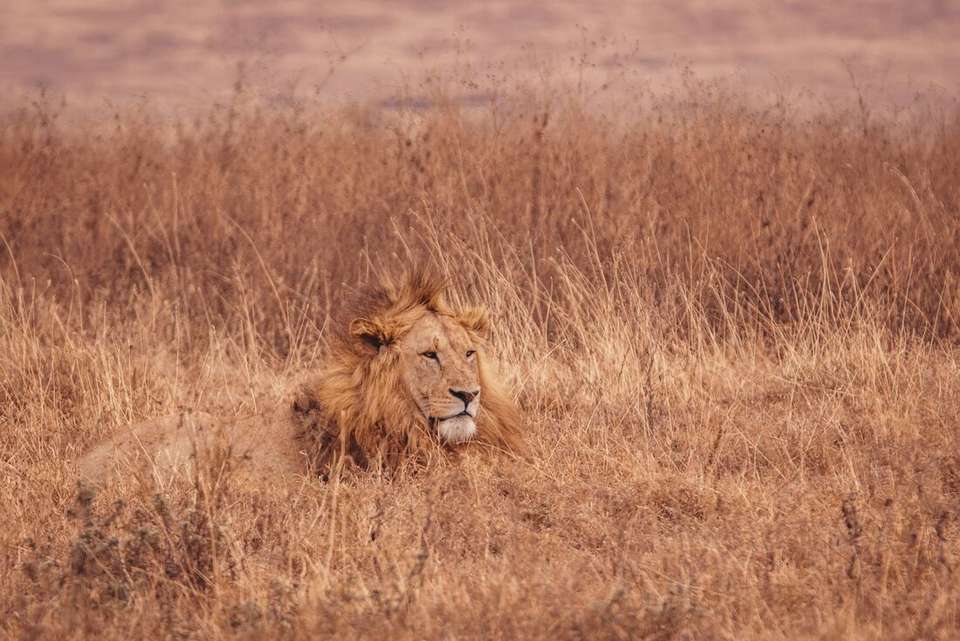Best of East Africa - Intrepid Travel - Kenya - Image 21
