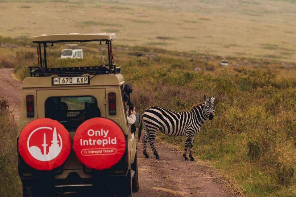 Best of East Africa - Intrepid Travel - Kenya - Image 9