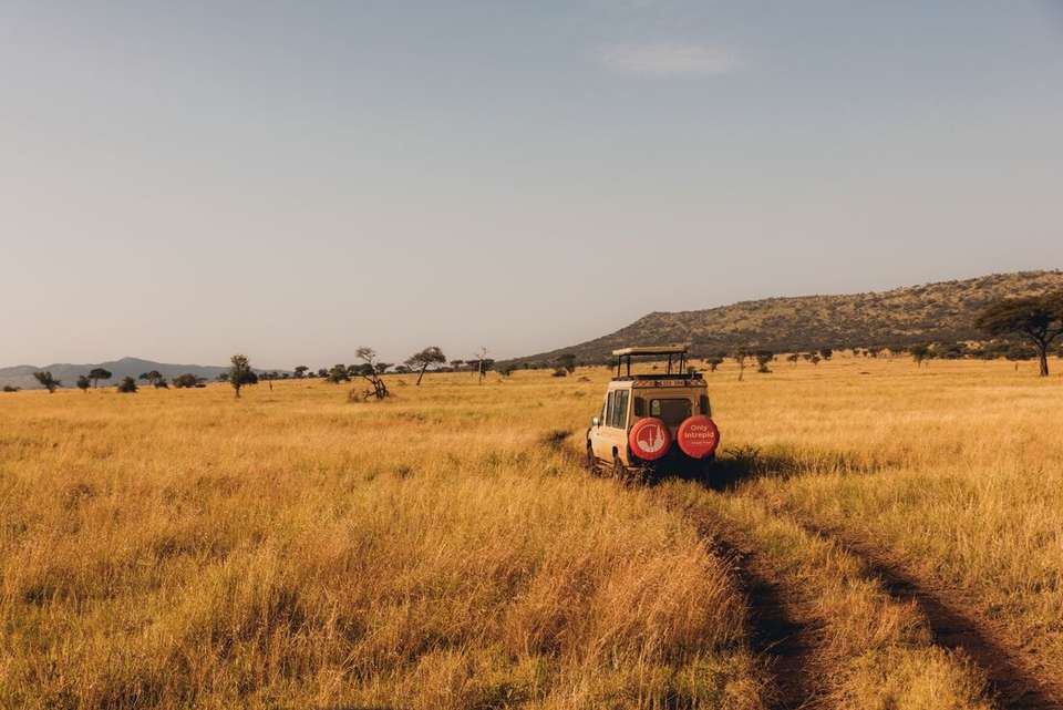 Best of East Africa - Intrepid Travel - Kenya - Image 3